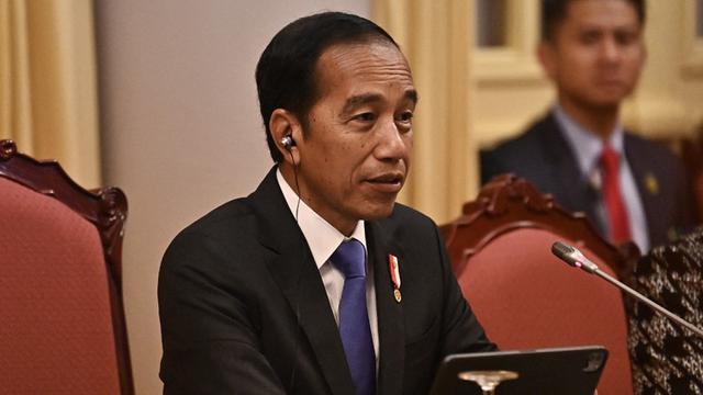 Deretan Hoaks Sasar Mantan Presiden Jokowi, Simak Daftarnya